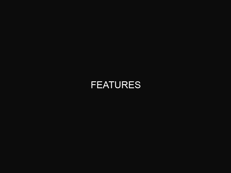 features 411